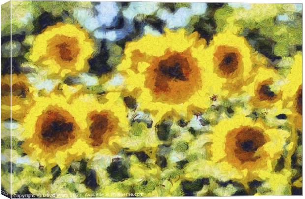 Sunflowers Van Gogh Abstracts  Canvas Print by David Pyatt