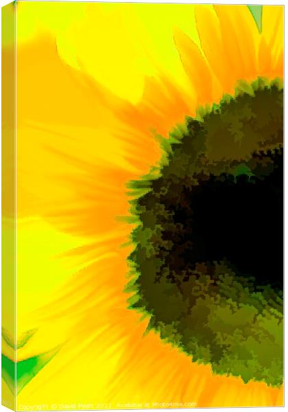 Sunflower Abstraction Art Canvas Print by David Pyatt