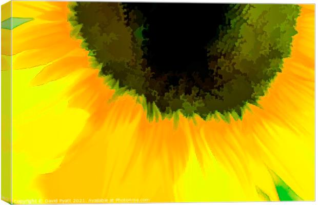 Sunflower Abstract Art Canvas Print by David Pyatt
