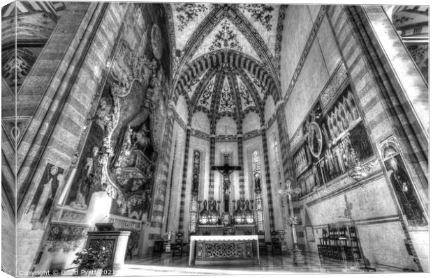 Verona Basilica  Canvas Print by David Pyatt