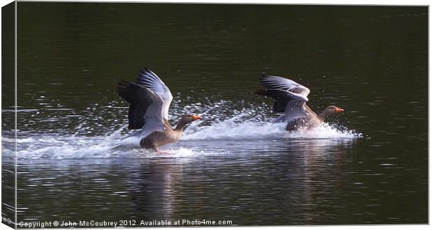 Making a Splash! Canvas Print by John McCoubrey