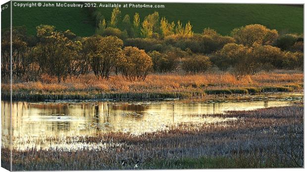 Golden Evening Canvas Print by John McCoubrey