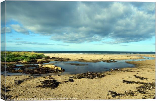 Outdoor oceanbeach Canvas Print by eric carpenter