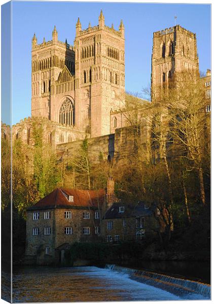 durham cathedral and mill Canvas Print by eric carpenter