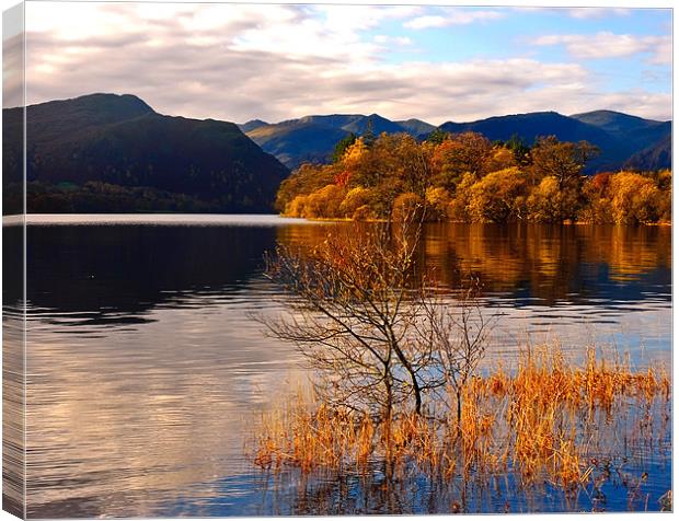 Golden Pond Canvas Print by eric carpenter