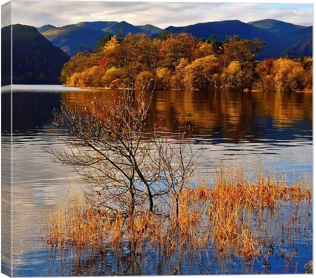 Golden Pond Canvas Print by eric carpenter