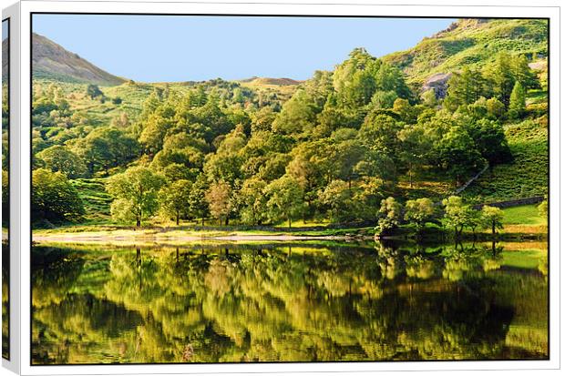 Rydal Reflections Canvas Print by eric carpenter
