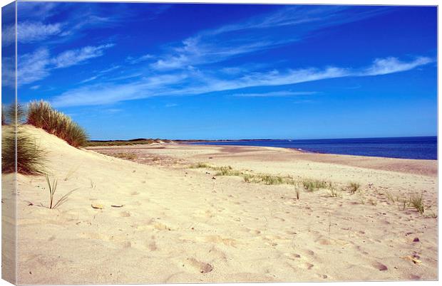  Summer Beach Canvas Print by eric carpenter