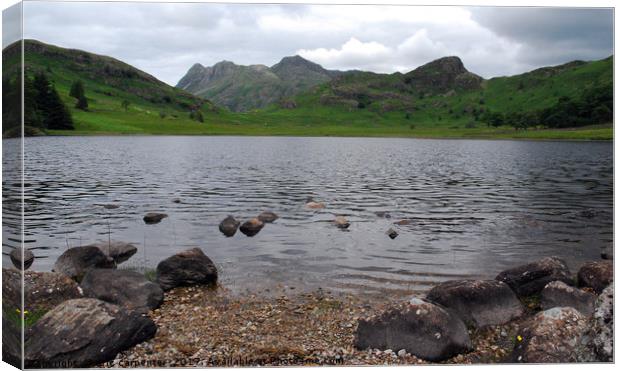 Blea Tarn Canvas Print by eric carpenter