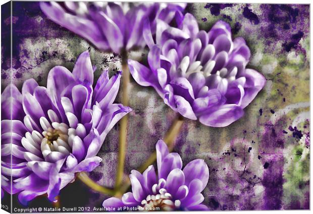 Textured Lilac Canvas Print by Natalie Durell