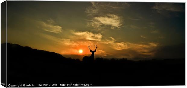 STAG NIGHT Canvas Print by Rob Toombs