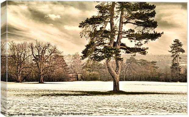 A WINTER OAKWOOD Canvas Print by Rob Toombs