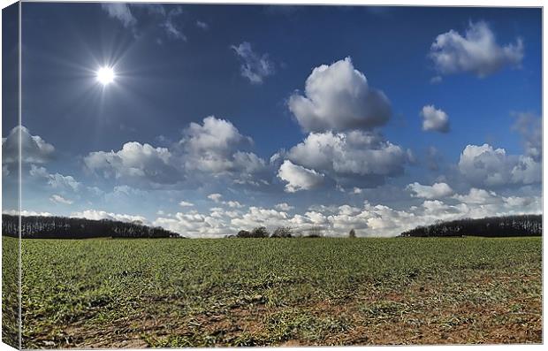 SUNSHINE FIELDS Canvas Print by Rob Toombs
