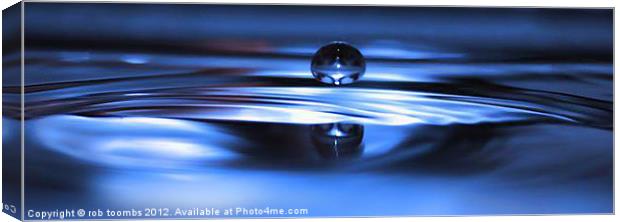 BLUE DROP Canvas Print by Rob Toombs