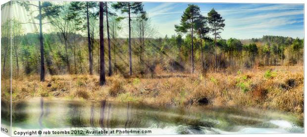 THE LAKE Canvas Print by Rob Toombs