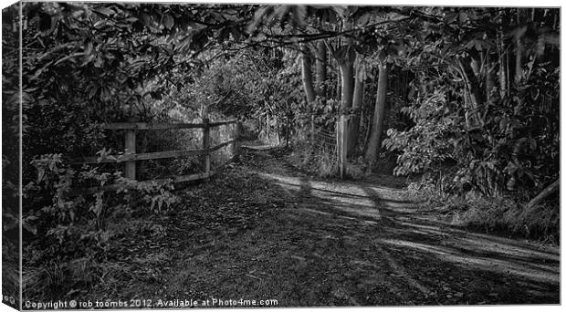 THE PATH MONO Canvas Print by Rob Toombs
