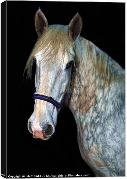 A HORSES PORTRAIT Canvas Print by Rob Toombs