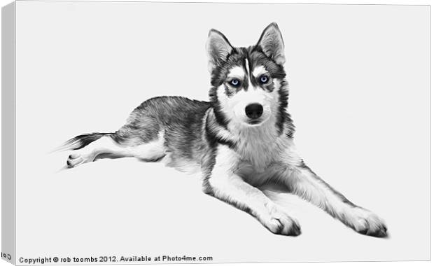 PAINTED HUSKY Canvas Print by Rob Toombs