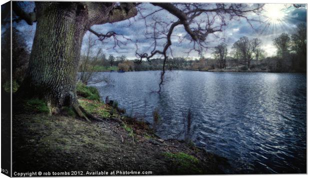 MOTE PARK LAKE Canvas Print by Rob Toombs