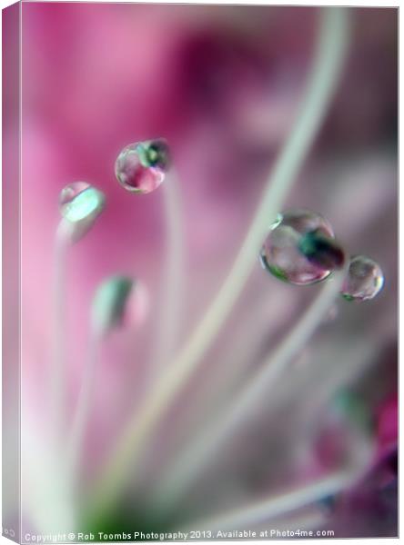PURPLE DROPS Canvas Print by Rob Toombs