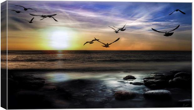 A MORNING FLIGHT Canvas Print by Rob Toombs