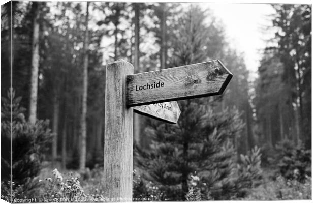 Signpost In The Forest Canvas Print by Lee Osborne