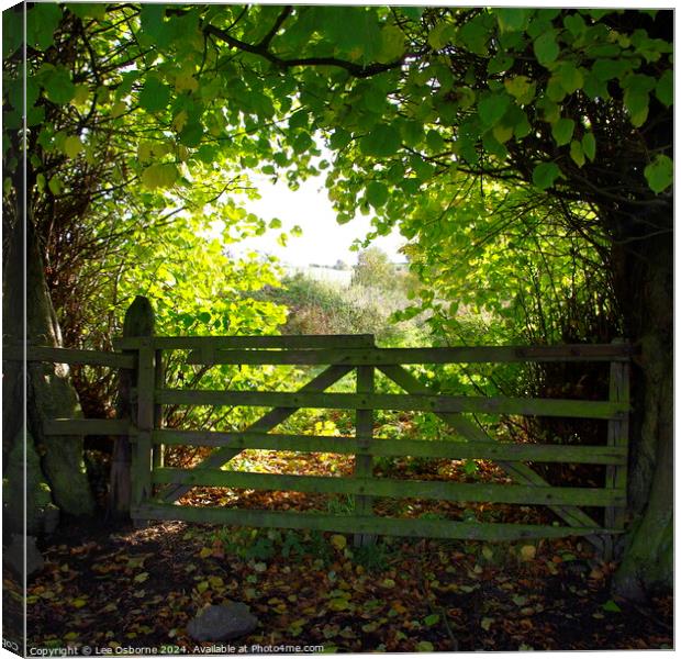 Autumn Walk In The Woods Canvas Print by Lee Osborne