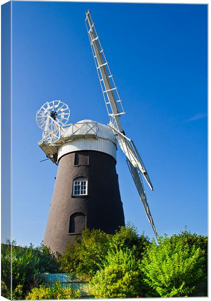 Restored Norfolk windmill. Canvas Print by Lee Daly