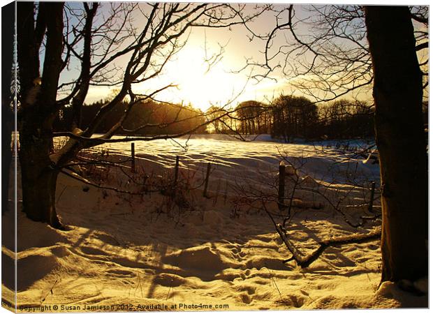 Winter Sunset Canvas Print by Susan Jamieson