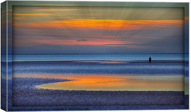 reflections Canvas Print by sue davies
