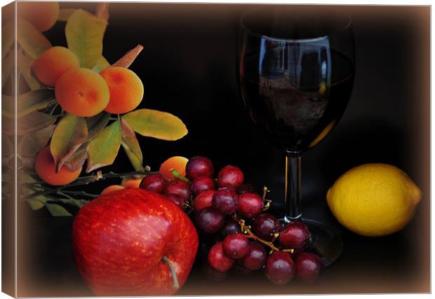 fruit n wine Canvas Print by sue davies