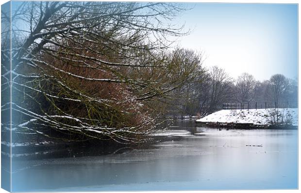 icy lake Canvas Print by sue davies