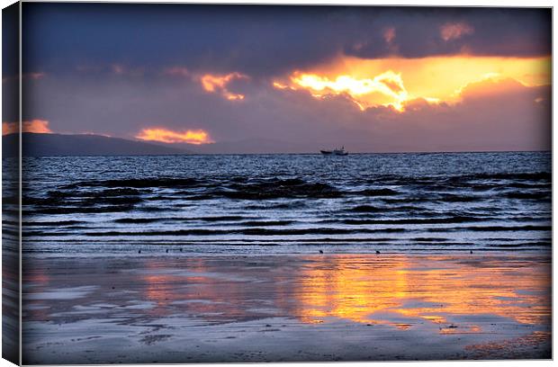 out to sea Canvas Print by sue davies