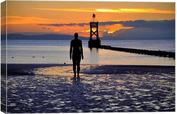 looking out to sea Canvas Print by sue davies