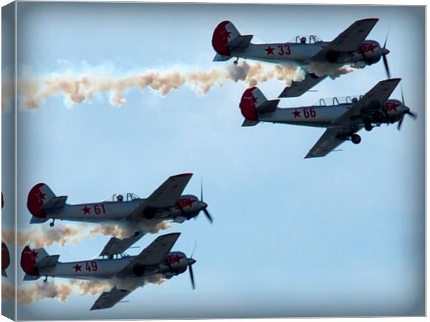 fab four Canvas Print by sue davies