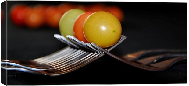  tomatoes Canvas Print by sue davies