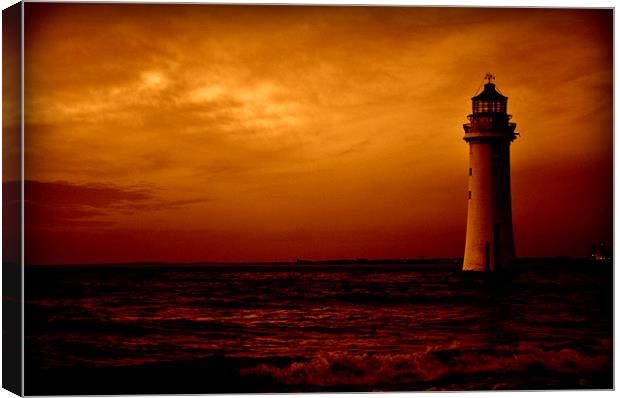  moody Canvas Print by sue davies