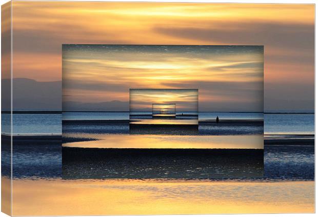 mirrored image Canvas Print by sue davies
