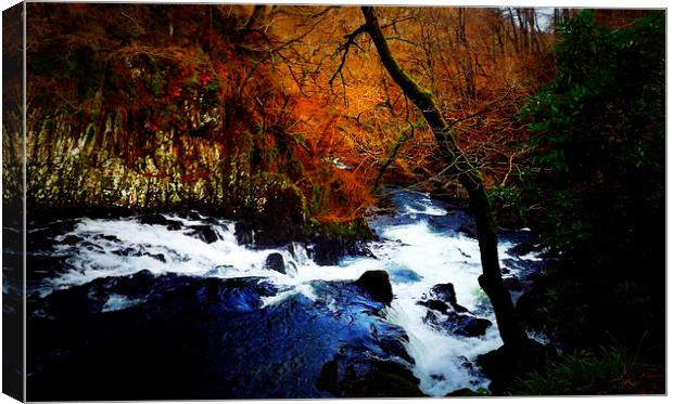  swallow falls Canvas Print by sue davies