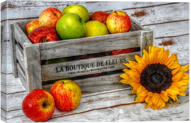 apples and flowers Canvas Print by sue davies