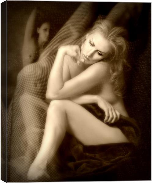 sensuality Canvas Print by sue davies