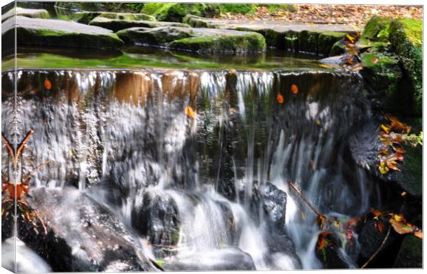 tiny waterfall Canvas Print by sue davies