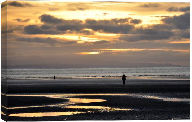 golden sky Canvas Print by sue davies