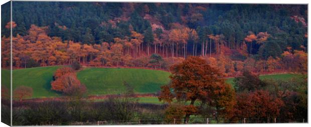  view of the landscape Canvas Print by sue davies