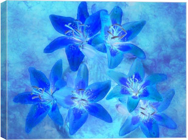 blue Canvas Print by sue davies
