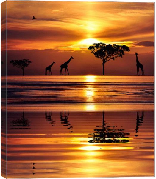 reflections in the sunset Canvas Print by sue davies