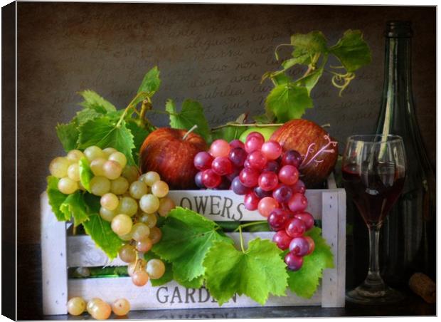 wine and fruit Canvas Print by sue davies