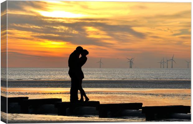 romance in the sunset Canvas Print by sue davies