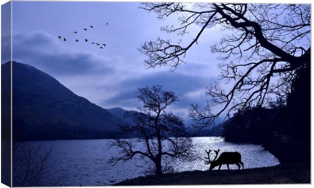 silver lake Canvas Print by sue davies