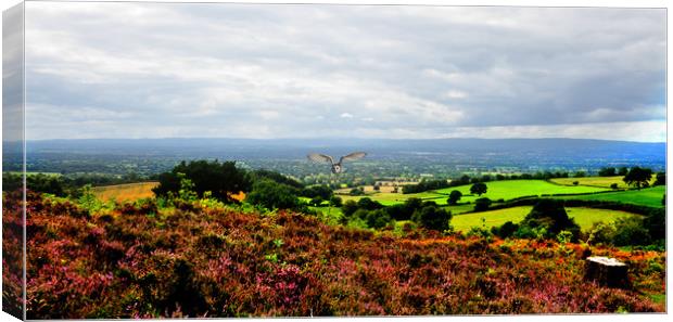 what a view Canvas Print by sue davies